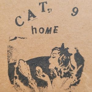 cat. 9 :home